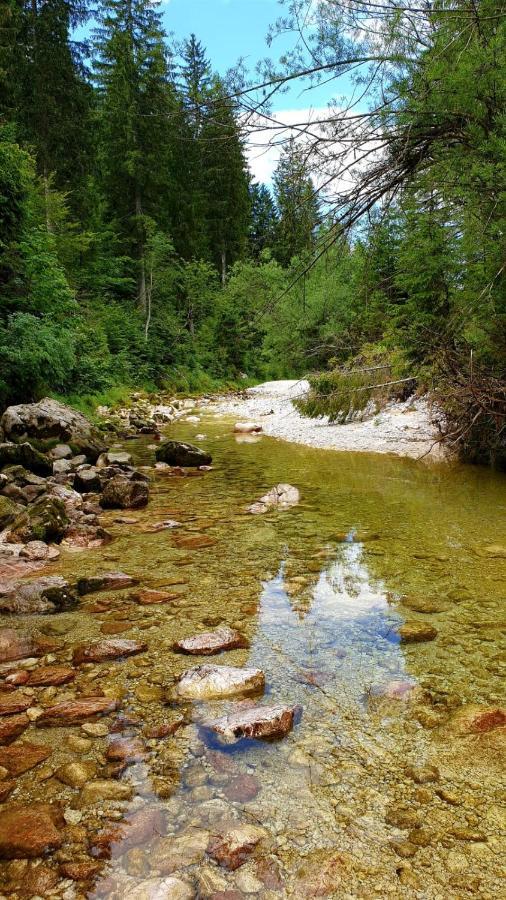 Affittacamere Buon Riposo Tarvisio Exterior foto