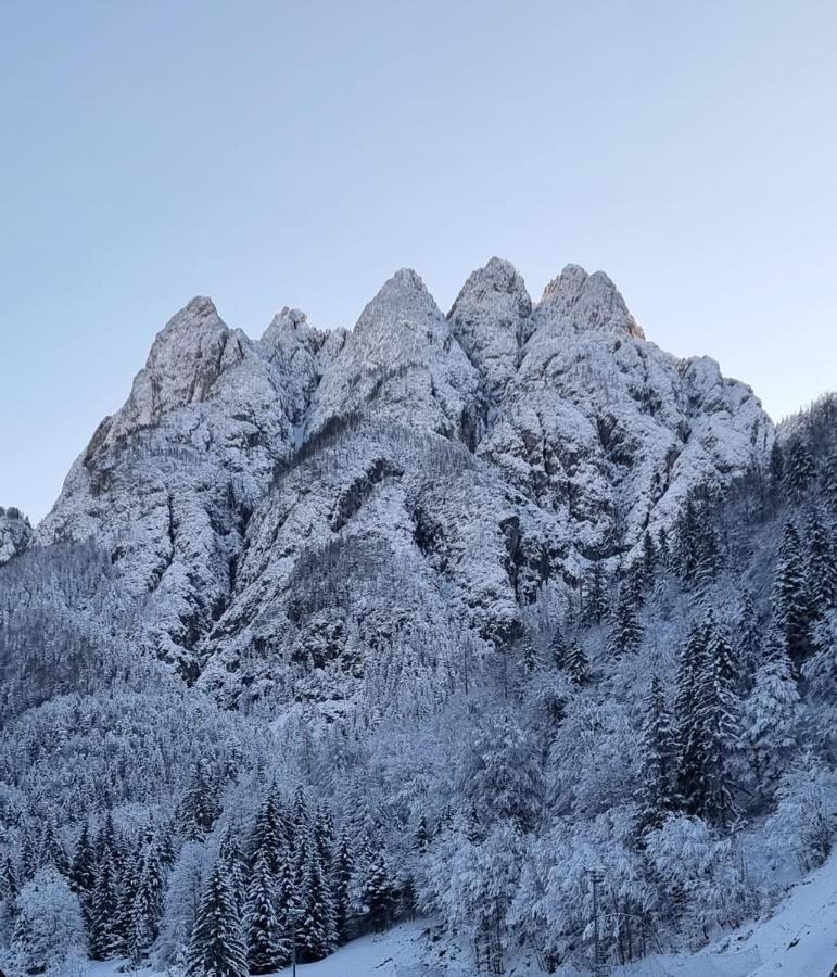 Affittacamere Buon Riposo Tarvisio Exterior foto